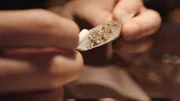 Joint. Joint.