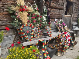Detailaufnahme von Glocken und Schmuck f&uuml;r K&uuml;he f&uuml;r den Almabtrieb