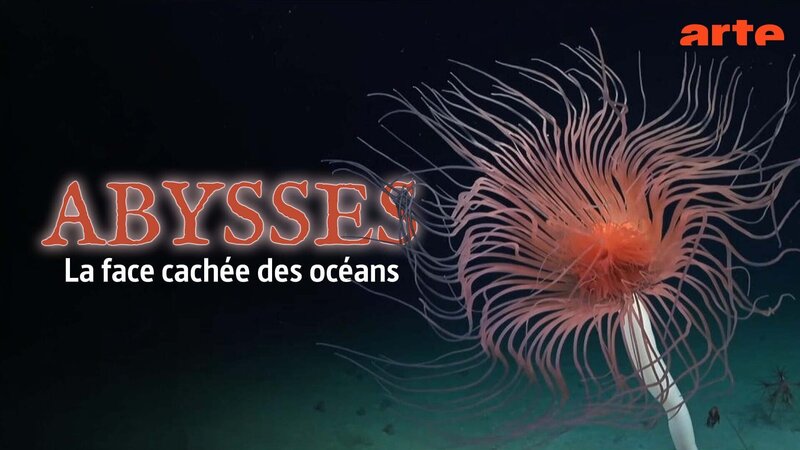 Tiefsee - Forschung jenseits des Lichts (F, 2026)