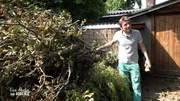 An Roberts Kastanienbaum mussten infolge des heftigen Sturms einige Äste entfernt werden. Diese landeten zum Teil leider auf dem Grundstück. An Roberts Kastanienbaum mussten infolge des heftigen Sturms einige Äste entfernt werden. Diese landeten zum Teil leider auf dem Grundstück.