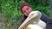 Pelikandame Dori mit ihrer Pflegerin Ronja. Pelikandame Dori mit ihrer Pflegerin Ronja.