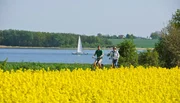 Heute sind kaum noch Fischerboote auf der Schlei unterwegs. Daf&uuml;r lockt die F&ouml;rde viele Wassersportler und Radfahrer.