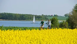 Heute sind kaum noch Fischerboote auf der Schlei unterwegs. Daf&uuml;r lockt die F&ouml;rde viele Wassersportler und Radfahrer.