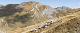 ALPENLAND erz&auml;hlt von Menschen, deren Lebensperspektiven zwischen &Ouml;konomie und &Ouml;kologie gegens&auml;tzlicher nicht sein k&ouml;nnten &ndash; und die trotz schwieriger Bedingungen eine tiefe Beziehung zu ihrer Heimat haben.