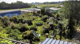 Am Stadtrand von Augsburg liegt die City Farm. Hier gibt es Obst, Gem&uuml;se und Kr&auml;uter - alles in Bioanbau.