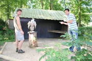 Willi mit Falkner Roland Werner und Geier Schneewittchen vom Bayerischen Jagdfalkenhof Tambach. Ganz schön imposant so ein großer Vogel! Willi mit Falkner Roland Werner und Geier Schneewittchen vom Bayerischen Jagdfalkenhof Tambach. Ganz schön imposant so ein großer Vogel!