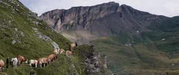 ALPENLAND erz&auml;hlt von Menschen, deren Lebensperspektiven zwischen &Ouml;konomie und &Ouml;kologie gegens&auml;tzlicher nicht sein k&ouml;nnten &ndash; und die trotz schwieriger Bedingungen eine tiefe Beziehung zu ihrer Heimat haben.