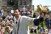 Willi darf bei einer Flugshow beim Ritterfest auf Schloss Pappenheim assistieren und einen Greifvogel halten. Willi darf bei einer Flugshow beim Ritterfest auf Schloss Pappenheim assistieren und einen Greifvogel halten.