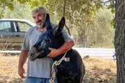 Dimitris Esel ist das Maskottchen des Dorfes &ndash; das Tier entkam den Flammen nur knapp.