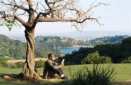 Seine letzte &Uuml;berlebenschance: Sollte der magische Baum in seinem Garten alle Bl&auml;tter verlieren, muss Jack McCall (Eddie Murphy) sterben. Doch wird Jack aufh&ouml;ren k&ouml;nnen zu quasseln?