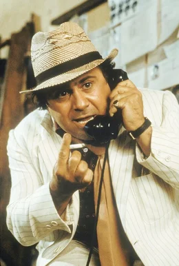 Ralph (Danny DeVito)    +++ Die Verwendung des sendungsbezogenen Materials ist nur mit dem Hinweis und Verlinkung auf RTL+ gestattet. +++