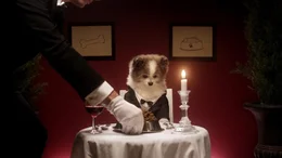 A puppy is in suit being served fancy meal by candlelight.