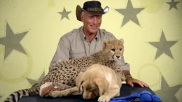 Jack Hanna plays with a puppy and a baby cheetah.