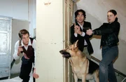 Neue Folgen: Kommissar Rex "Polizisten küsst man nicht". Im Bild: Johannes Zirner, Alexander Pschill, Elke Winkens. Neue Folgen: Kommissar Rex "Polizisten küsst man nicht". Im Bild: Johannes Zirner, Alexander Pschill, Elke Winkens.