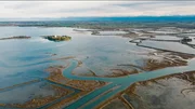 Feuchtgebiete am Tagliamento. Feuchtgebiete am Tagliamento.