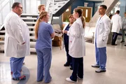 Dr. Taryn Helm (Jaicy Elliot, 2.v.l.), Dr. Tom Koracick (Greg Germann, hinter, l.), Dr. Miranda Bailey (Chandra Wilson, 3.v.r.), Dr. Meredith Grey (Ellen Pompeo, 2.v.r), Dr. Jordan Wright (Greg Tarzan Davis, r.). Dr. Taryn Helm (Jaicy Elliot, 2.v.l.), Dr. Tom Koracick (Greg Germann, hinter, l.), Dr. Miranda Bailey (Chandra Wilson, 3.v.r.), Dr. Meredith Grey (Ellen Pompeo, 2.v.r), Dr. Jordan Wright (Greg Tarzan Davis, r.).