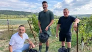 Die Tr&ouml;delprofis im Weinberg - sie sind auf der Suche nach einen Weinfass mit besonderem Brandsiegel
