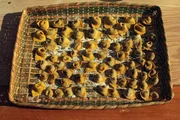 Zu Tisch Bologna – Italien Tortellini mit Gemüsefüllung Zu Tisch Bologna – Italien Tortellini mit Gemüsefüllung