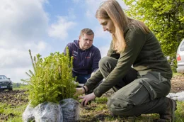 Forstingenieurin Veronika mit dem Fichtenwald von &uuml;bermorgen &ndash; Fichtenholz ist nach wie vor ein sehr wichtiges Bau- und Industrieholz.