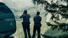 Ein Team aus 20 F&ouml;rstern und Tier&auml;rzten tr&auml;gt die Verantwortung f&uuml;r den Schutz von B&auml;ren und Menschen. In diesen Tagen ist dies keine leichte Aufgabe.