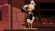 Donald Duck Donald Duck