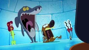 Marina, Sharko Zig und Bernie suchen sich Unterschlupf in einem Iglu. Doch dann kommt der Hausherr nach Hause..  +++
