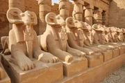 Die berühmte Widderallee vor dem Tempel von Karnak wurde zu Ehren des Gottes Amun-Re errichtet. Die berühmte Widderallee vor dem Tempel von Karnak wurde zu Ehren des Gottes Amun-Re errichtet.