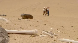 Ein Team von Arch&auml;ologen in der Atacama-W&uuml;ste nahe der Stadt Arica im Norden Chiles. Das Team ist auf der Suche nach Spuren, die Auskunft &uuml;ber die r&auml;tselhaften Geoglyphen der Atacama-W&uuml;ste geben.