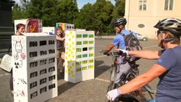 Die Platte zeigt sich in der historischen Altstadt von Weimar.
