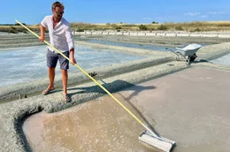Noirmoutier steht f&uuml;r das weltweit ber&uuml;hmte Salz, das hier in den Salzg&auml;rten noch fast mittelalterlich geerntet wird.