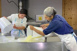 Auf den Trentiner Almen wird K&auml;se noch handwerklich produziert.