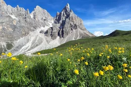 Fr&uuml;hling im Naturpark Paneveggio Pale di San Martino