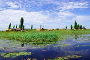Am Ende der Regenzeit steht in Bangweulu fast alles unter Wasser &ndash; wer von einem Ort zum anderen will, braucht ein Boot oder eine Piroge.