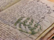 Badende Frauen, ein Motiv, das etliche Forscher auf die These bringt, dass das Buch weibliche Autoren haben muss. Denn sie erkennen darin viel Wissen zur weiblichen Biologie. Badende Frauen, ein Motiv, das etliche Forscher auf die These bringt, dass das Buch weibliche Autoren haben muss. Denn sie erkennen darin viel Wissen zur weiblichen Biologie.