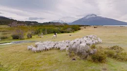 Eine Estancia in Patagonien &ndash; eine argentinische Ranch oder ein Landgut, das traditionell f&uuml;r die Rinder- oder Schafzucht genutzt wird.