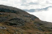 In der rauen Natur Norwegens fand Arne Næss Anfang der 1970er Jahre die Essenz seiner Philosophie. In der rauen Natur Norwegens fand Arne Næss Anfang der 1970er Jahre die Essenz seiner Philosophie.