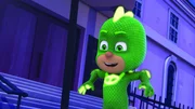 Gecko