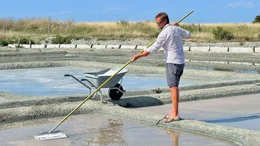 In Noirmoutier wird das welweit ber&uuml;hmte Salz noch fast mitelalterlich geerntet.; Das weisse Gold von Noirmoutier In Noirmoutier wird das welweit ber&uuml;hmte Salz noch fast mitelalterlich geerntet.  Copyright: SRF/MedienKontor/Stephane Nicolle