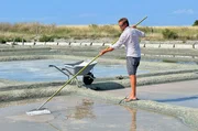 Noirmoutier steht für das weltweit berühmte Salz, das hier in den Salzgärten noch fast mittelalterlich geerntet wird. Noirmoutier steht für das weltweit berühmte Salz, das hier in den Salzgärten noch fast mittelalterlich geerntet wird.