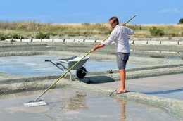 Noirmoutier steht f&uuml;r das weltweit ber&uuml;hmte Salz, das hier in den Salzg&auml;rten noch fast mittelalterlich geerntet wird.