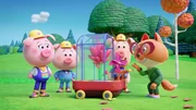 Die Werkel-Ferkel Cornelia (links), Charlie und Cesar (2. von links) haben ihrer Blume sogar einen Namen gegeben: "Kleine Melody". Die Werkel-Ferkel Cornelia (links), Charlie und Cesar (2. von links) haben ihrer Blume sogar einen Namen gegeben: "Kleine Melody".