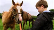 Philipps Pferd Holly bringt im Stall ein Fohlen zur Welt. Nun darf Philipp einen Namen f&uuml;r das Fohlen aussuchen.