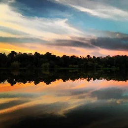 Ein Nationalpark wird die neue Heimat der Seekuhwaisen. Nur im wasserreichsten Strom der Erde, dem Amazonas, leben Seek&uuml;he im S&uuml;&szlig;wasser. Ihr Lebensraum steht in weiten Teilen allerdings vor dem &ouml;kologischen Kollaps. Der Biologe Diogo Alexandre de Souza f&uuml;hrt einen verzweifelten Kampf um die Amazonas-Seekuh und hat ein einzigartiges Auswilderungsprogramm auf die Beine gestellt.