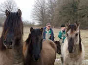 Auf Außentermin: Kurator Dr. Günther Schleussner und Tierpflegerin Ramona Schiele holen Dülmener Pferde für den Schaubauernhof der Wilhelma. Aber ob sich die Tiere auch mit den dortigen Bewohnern verstehen, ist zu sehen in einer neuen Folge von Eisbär, Affe & Co. Auf Außentermin: Kurator Dr. Günther Schleussner und Tierpflegerin Ramona Schiele holen Dülmener Pferde für den Schaubauernhof der Wilhelma. Aber ob sich die Tiere auch mit den dortigen Bewohnern verstehen, ist zu sehen in einer neuen Folge von Eisbär, Affe & Co.