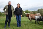 Alexander Herrmann und Anne Leichtenstern auf einer Weide mit Texas-Longhorn-Rindern in Altencreußen, Prebitz (Landkreis Bayreuth). Alexander Herrmann und Anne Leichtenstern auf einer Weide mit Texas-Longhorn-Rindern in Altencreußen, Prebitz (Landkreis Bayreuth).