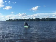Auf der Suche nach Flussdelphinen. Auf der Suche nach Flussdelphinen.