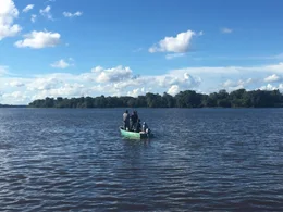 Auf der Suche nach Flussdelphinen.