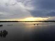 Die Regenzeit lässt den Wasserspiegel des Amazonas über 15 Meter ansteigen. Die Regenzeit lässt den Wasserspiegel des Amazonas über 15 Meter ansteigen.