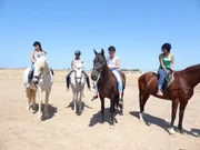 Weya, Bianca, Maja und Louisa gehen in ihrem Urlaub ohne Eltern reiten