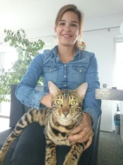 Wie alle erwachsenen Bengalkatzen hat Kater Merlin leuchtend grüne Augen. Wie alle erwachsenen Bengalkatzen hat Kater Merlin leuchtend grüne Augen.